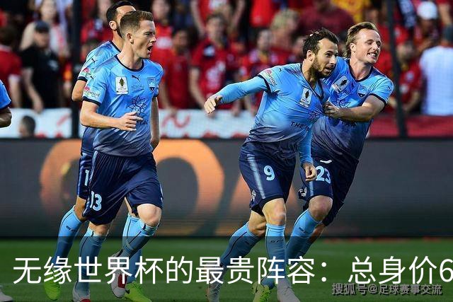 无缘世界杯的最贵阵容：总身价6.7亿 意大利5人